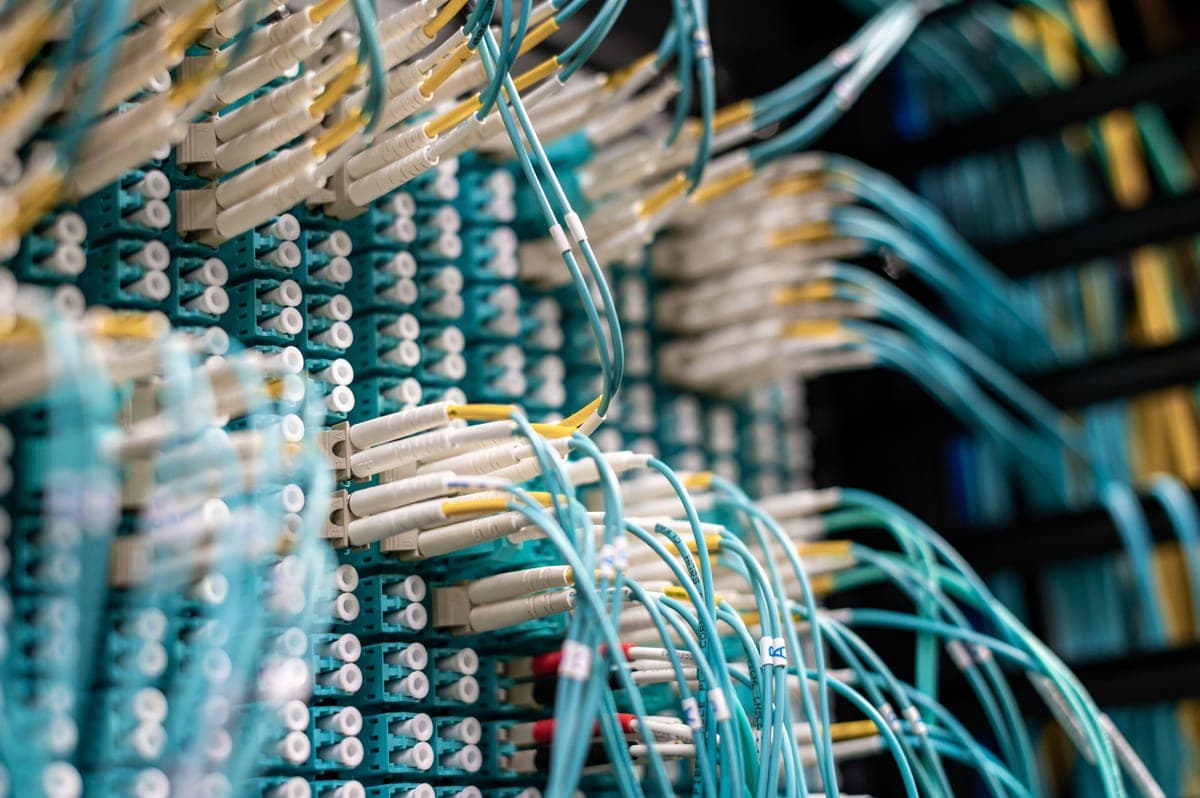 Blue patch cords connected to rows of ports on a network panel